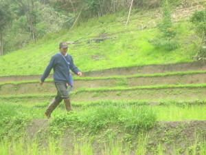 We were on our way to another village when we heard this man call loudly to us from far across the rice field....