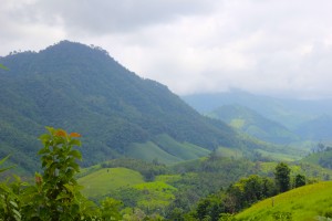IMG_6644