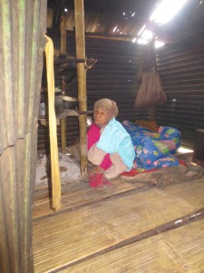 They did not make PeeEu a new house, but they did give her a new floor - big improvement