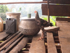 Complete with chicken in the dishwashing area