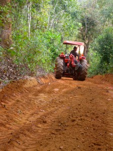 This indeed is a beautiful sight - a bulldozer putting a road in right here.