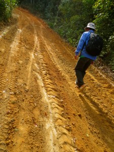 This way is very seriously steep for us on foot or wheels.