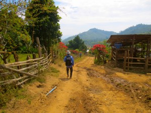 IMG_1271